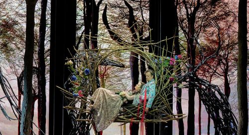 Eine Person sitzt in einem kunstvoll geflochtenen Nest aus Ästen, umgeben von Blumen, vor einem Waldhintergrund.
