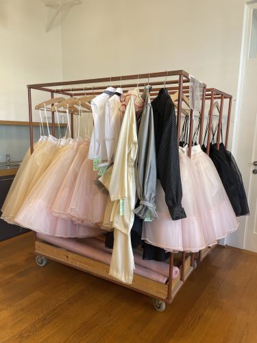 Mehrere Tüllröcke in Rosa und Schwarz sowie verschiedene Oberteile hängen ordentlich auf einem Kleiderständer in einem Raum.